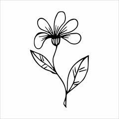hand-drawn doodle plant element for floral design concept
