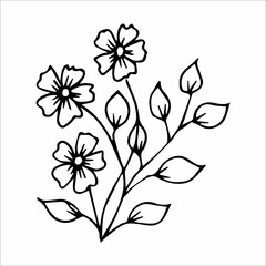 hand-drawn doodle plant element for floral design concept
