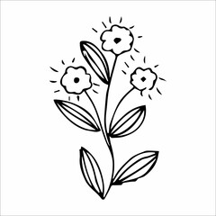 hand-drawn doodle plant element for floral design concept