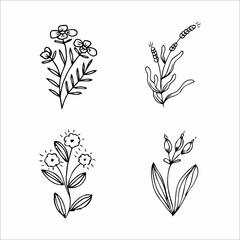 set of hand-drawn doodle plant elements for floral design concept