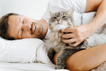 Smiling man petting gray cute cat lying together in bed. Fluffy pet enjoying rest in bedroom,...