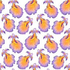 Betta splendens seamless pattern. Hand drawn illustration. Fighting fish. Purple and gold color fish. Color sketch. Colored pencil drawing.