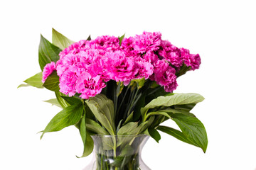 Naklejka na ściany i meble Bouquet of pink carnations in glass vase