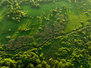 Fototapeta na wymiar Zigzag River in wild. Water supply. Small river in field and forest in swamp, Aerial view. Wildlife Refuge Wetland Restoration. Green Nature Scenery. River in Wildlife. Freshwater Lakes and Ecosystem.
