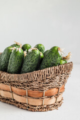 Organic green cucumbers in a wicker basket on a white background.