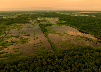Peatland on sunset. Marshland and Swamp landscape. Wild mire. East European swamps and Peat Bogs....