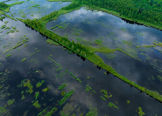 Peatland in wet. Marshland and Swamp landscape. Wild mire. East European swamps and Peat Bogs. Swampy land and wetland, marsh, bog. Mining peat. Drained of mire for peat extraction. Flooded field.