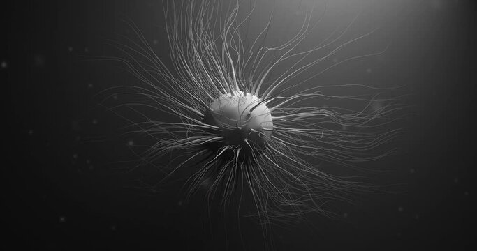 Generic microscopic cell. Microorganism with stylized strands. Pleomorphic virus. 3D render. Seamless loop animation