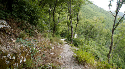 Il sentiero di montagna in estate