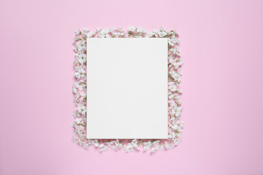 Blank canvas and beautiful white flowers on pink background, flat lay. Space for design