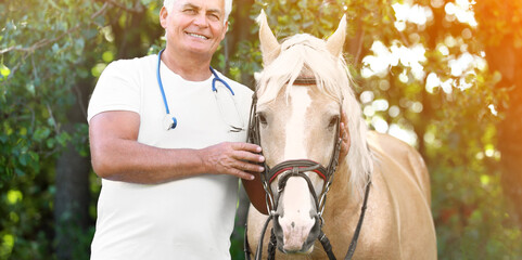 Senior veterinarian with palomino horse outdoors on sunny day. Banner design
