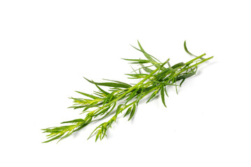 Tarragon or estragon isolated on a white background. Artemisia dracunculus. Top view. Green Herb leaves. Bunch of Tarragon. - obrazy, fototapety, plakaty