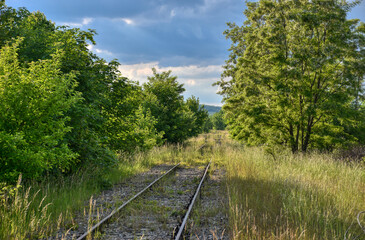 Pulkau, Schienen, Gleis, Bahndamm, Bahnlinie, Bahnhof, Eisenbahn, aufgelassen, stillgelegt,...