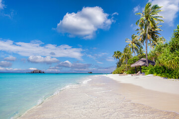 Paradise island beach. Tropical landscape of summer scenery, sea sand sky palm trees. Luxury travel vacation destination. Exotic beach landscape. Amazing nature, relax, freedom nature concept Maldives