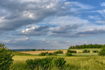 Obraz premium Pulkau, Landwirtschaft, Hügelland, Feld, Waldviertel, Niederösterreich, Felder, Acker, Himmel, Wolken, flach, ruhig, still, abgelegen, einsam, Natur, Umwelt, nachhaltig, lokal, Qualität, Landschaft, b
