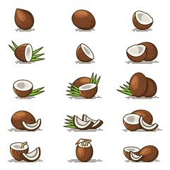 Collections of Brown Coconut vector icon illustration isolated on white background
