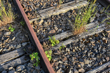 Pulkau, Schienen, Gleis, Bahndamm, Bahnlinie, Bahnhof, Eisenbahn, aufgelassen, stillgelegt,...
