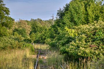 Pulkau, Schienen, Gleis, Bahndamm, Bahnlinie, Bahnhof, Eisenbahn, aufgelassen, stillgelegt,...