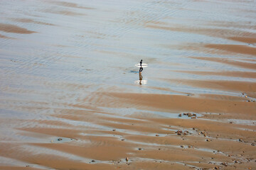 Fototapeta na wymiar surfer reflection on the beach