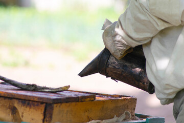 professional beekeeper in protective workwear inspecting honeycomb frame at apiary. beekeeper harvesting honey