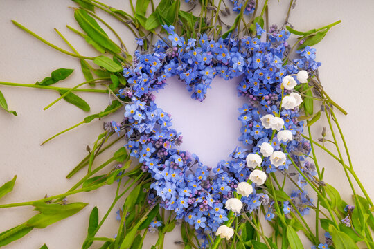 Composition of flowers for a postcard. Heart made of amazing spring forget-me-not flowers on white background, top view. Springtime Forget-me-not flowers and Lily of the valley