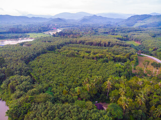 Aerial view morning sunrise with fog damn river mountain forest