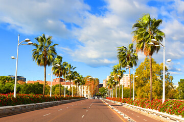 Fototapeta premium Road in city with of palm trees and residential buildings with apartments at sea. Empty road, no cars in city. Central street with gardens and flowers near city park near the Turia River, Valencia.