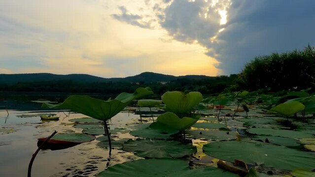  Sunset Landscape on Lake Corgeno