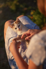 Photo of a small kitten on a girl's lap.