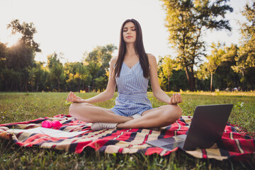 Portrait of attractive calm focused girl sitting on cover using laptop meditating video on green...