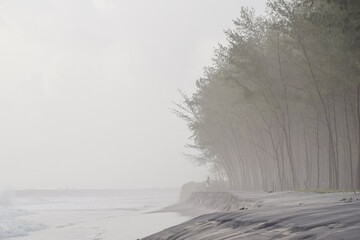 Foggy Indian beach