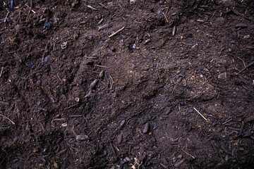 Soil texture background, top view. Dirt, earth, ground. Agriculture and garden work template