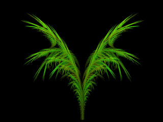 fern or palm, fractal on black
