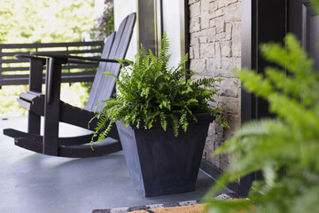 Boston ferns sitting on porch near front door way with an Adirondack rocking chair. Extreme...