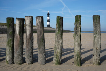 Pier with wooden posts at the North Sea coast in the province of Zeeland, The Netherlands - Powered by Adobe