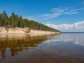 Forest on the sandy shore with the sandy beach of the Onega Lake in a calm weather summer on a sunny day. Karelia, Northwest Russia