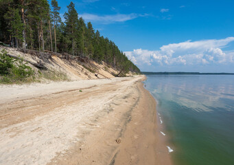 Forest on the sandy shore with the sandy beach of the Onega Lake in a calm weather summer on a sunny day. Karelia, Northwest Russia