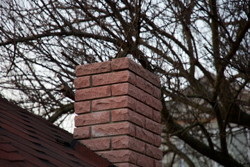 Brick chimney on the roof of the house among the trees.