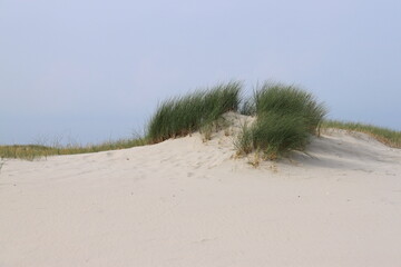 sandy dune landscape with dune grass on the german north sea island langeoog 