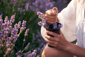 woman crush lavender flowers in a mortar against the background of a lavender field