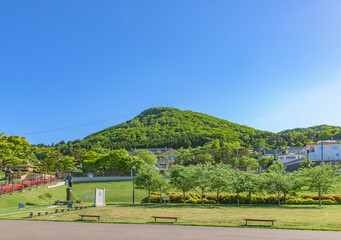 Fototapeta na wymiar View of Mount Hakodate in Hakodate City, Hokkaido, Japan