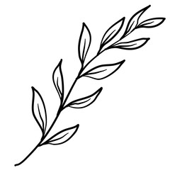 Leaves line art, black and white leaves line for prints or background.