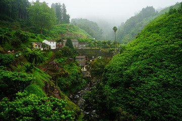 Heavy rain over Parque Natural Ribeira dos Caldeirões valley, Sao Miguel, Azores, Portugal