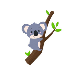 Fototapeta premium A small koala lies on a eucalyptus branch. Vector illustration