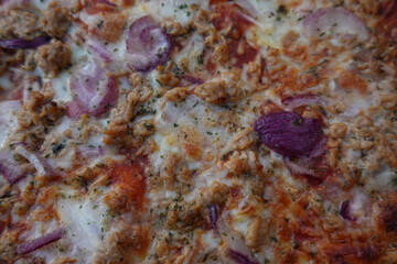Obraz na płótnie Canvas Pizza mit Thunfisch und Zwiebel