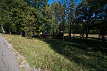 Fototapeta na wymiar landscape from the Sibiu grove 11