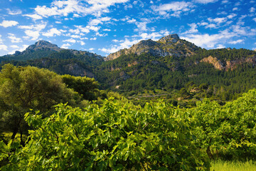View of the mountains of the Sierra of Tramontana, from the coast of Estelleschs in Mallorca, Balearic Islands, Spain