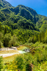 Obraz premium Willkommen im wunderschönen Soča-Tal in der Nähe der Julischen Alpen - Slowenien