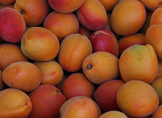 Close up of fresh ripe apricots. Apricots background