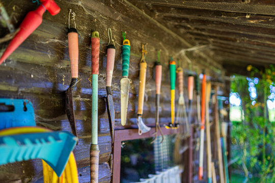 Samenleiter Bilder Durchsuchen 2,039 Archivfotos, und